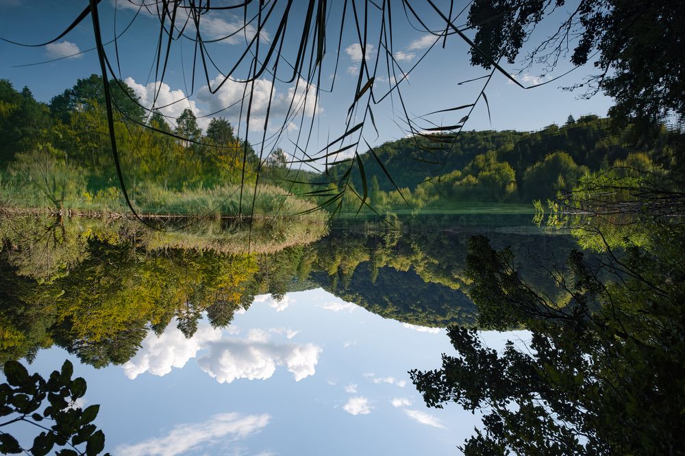 Photograph by Думнова Алёна