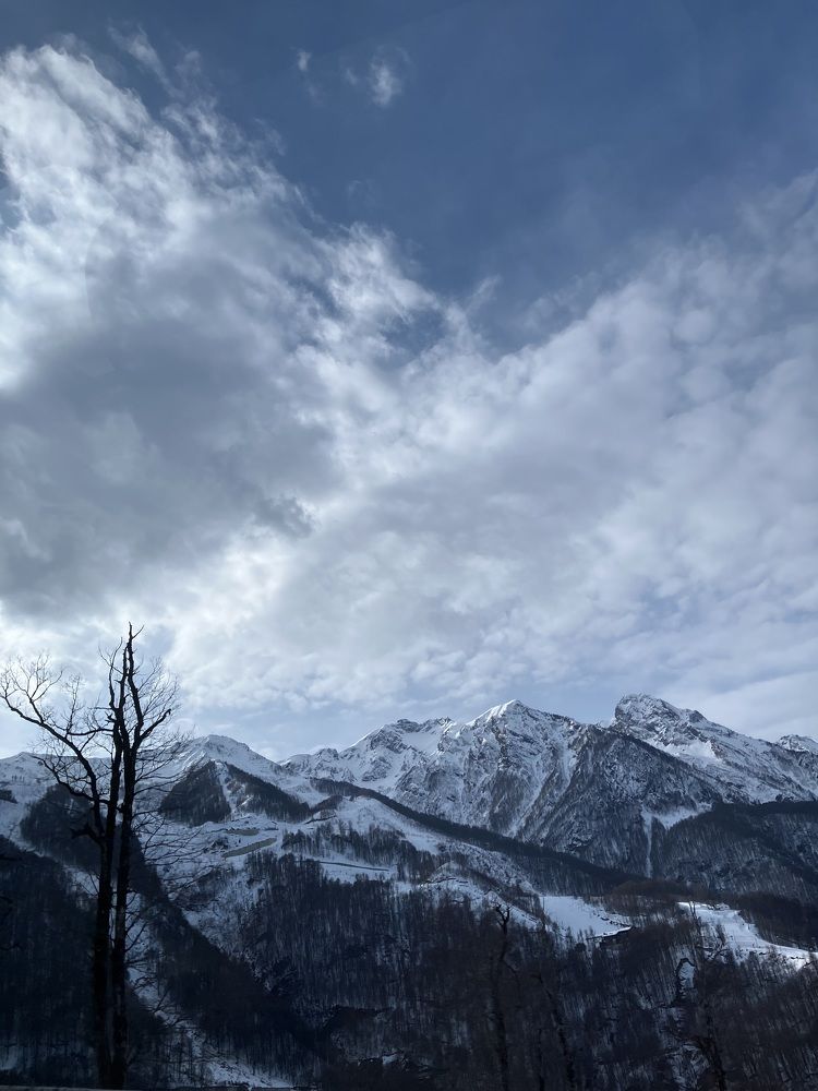 Фотография автора Ксения