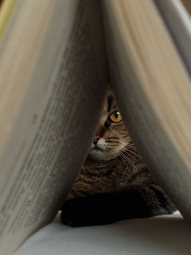 Photograph by Ия Дирко