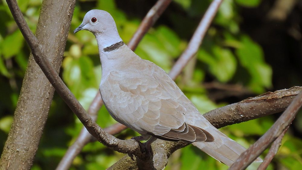 Photograph by Emil Zivanov