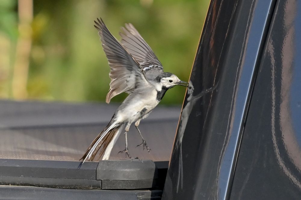 Hello, who else is here with me ?