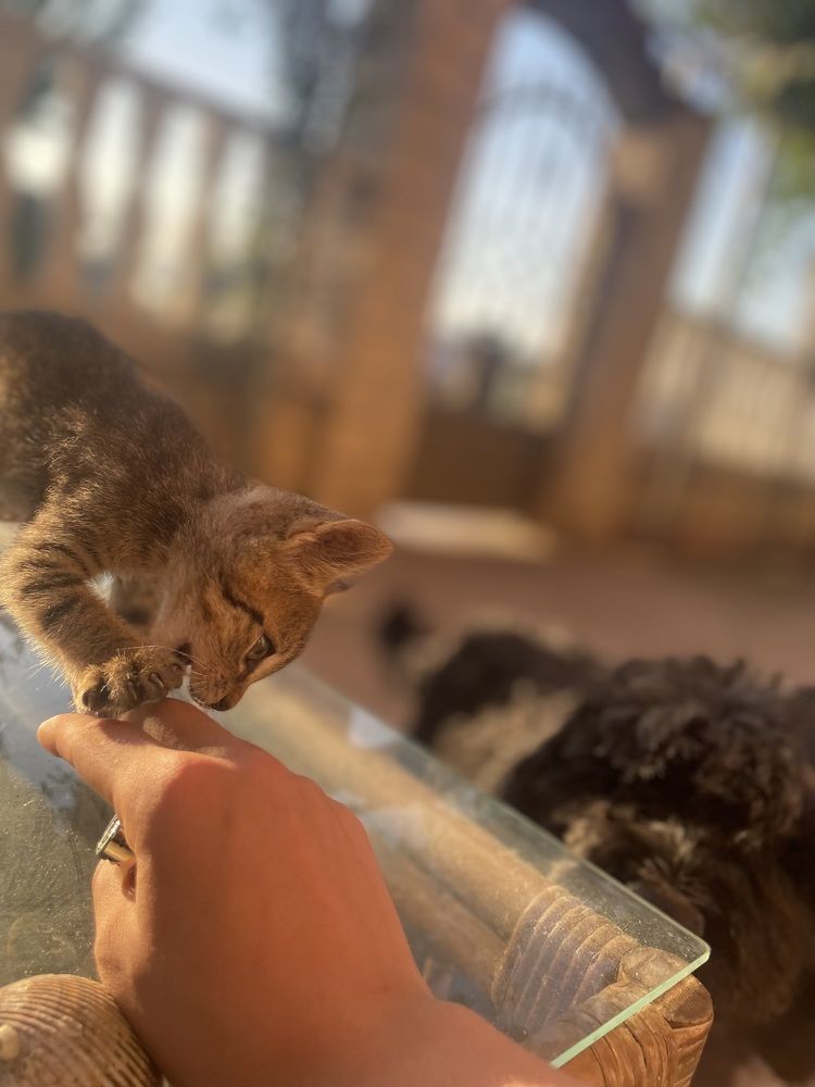 Photograph by Mimi Vurbanova