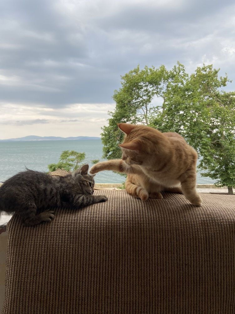 Photograph by Mimi Vurbanova