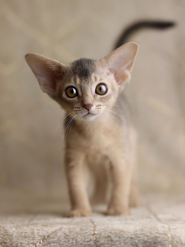 Photograph by Polina Manderson