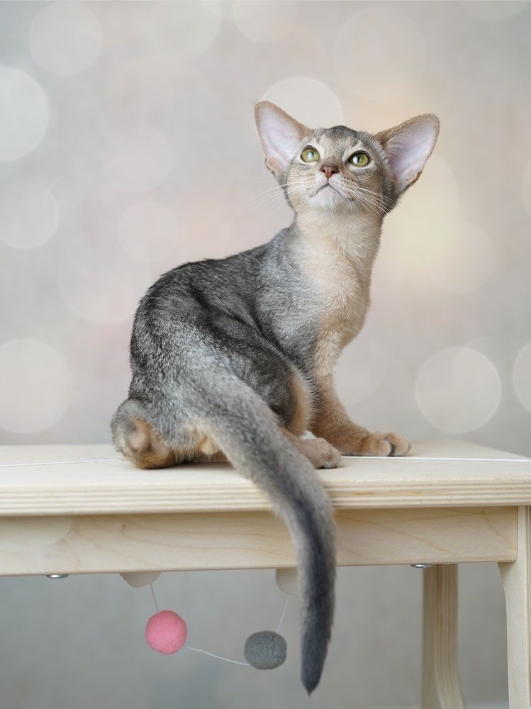 Photograph by Polina Manderson