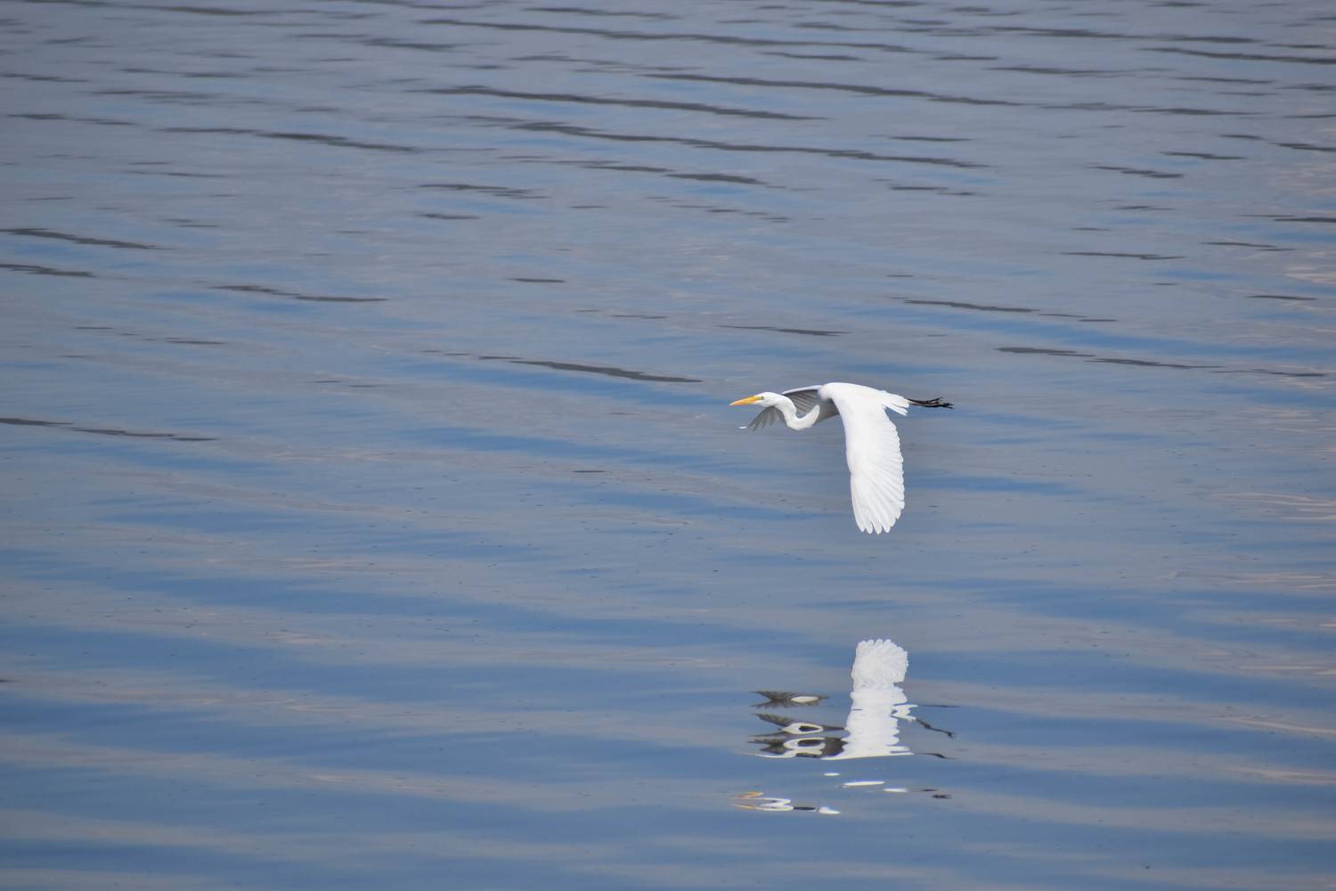 Photo #11773380