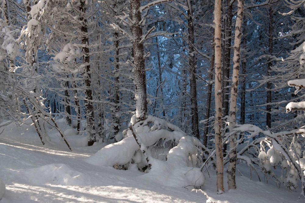 Фотография автора Госпадарёв Александр