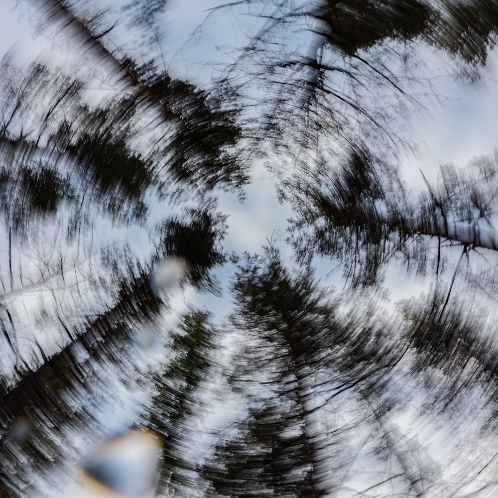 Photograph by Александр Щербаков