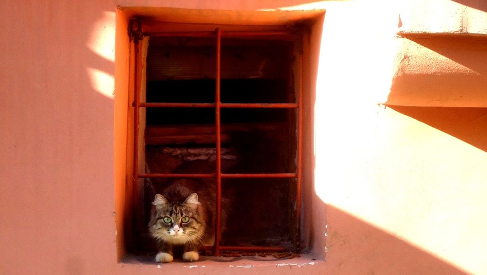 Photograph by Сергей Хвостовец