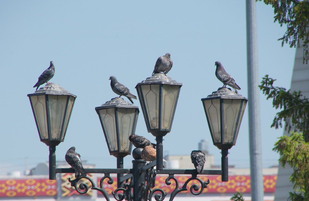 Photograph by Василий Быстрицкий