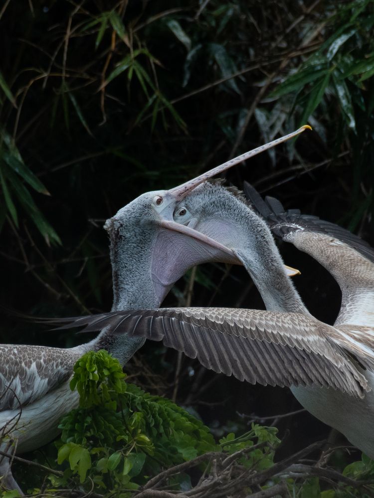 Photograph by Anandhu M