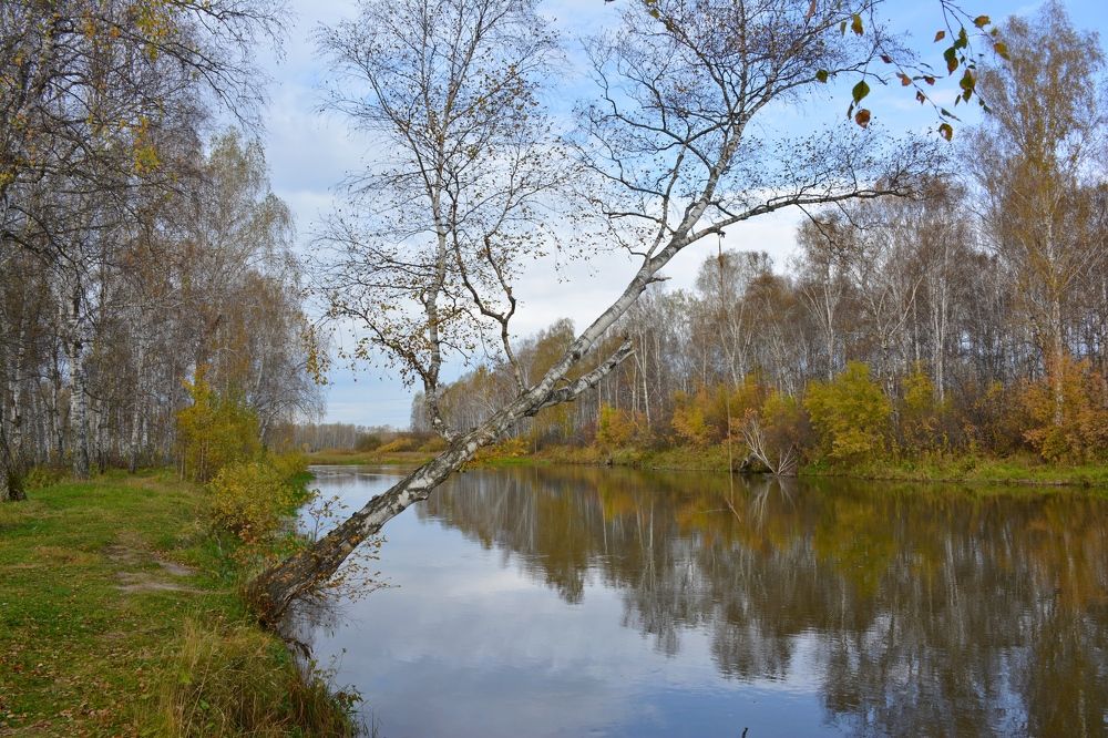 Photograph by Самигулов Хафиз