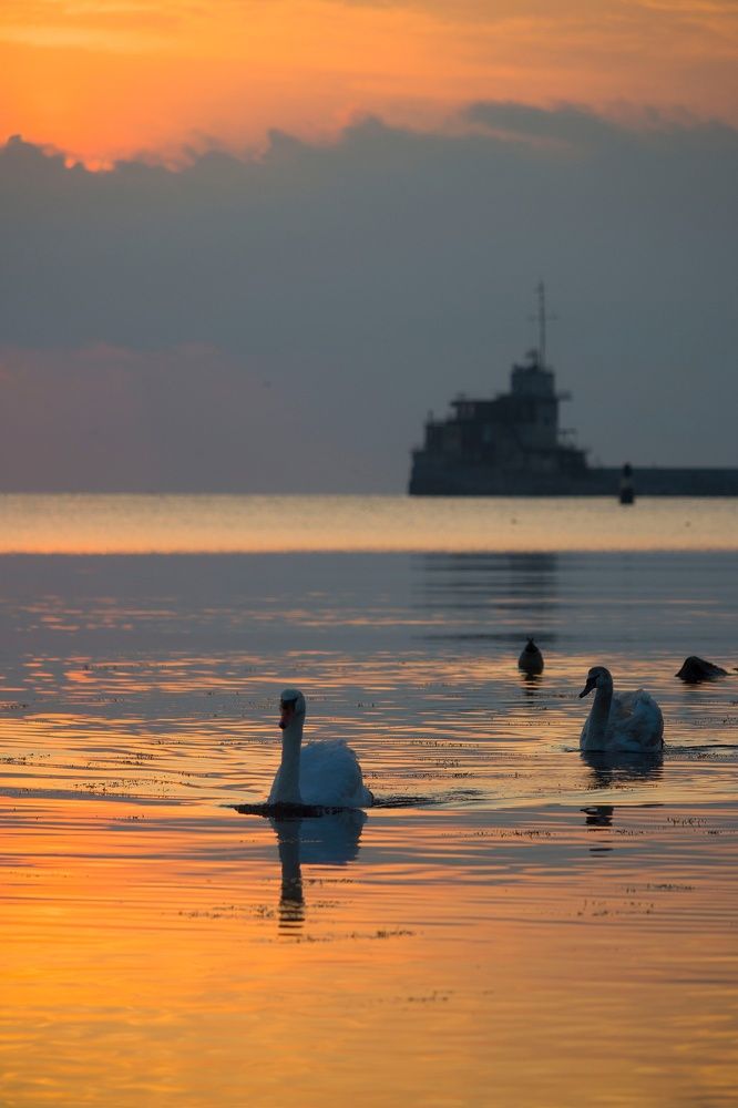 Photograph by Полина Крылова