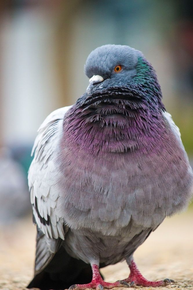 Photograph by Полина Крылова