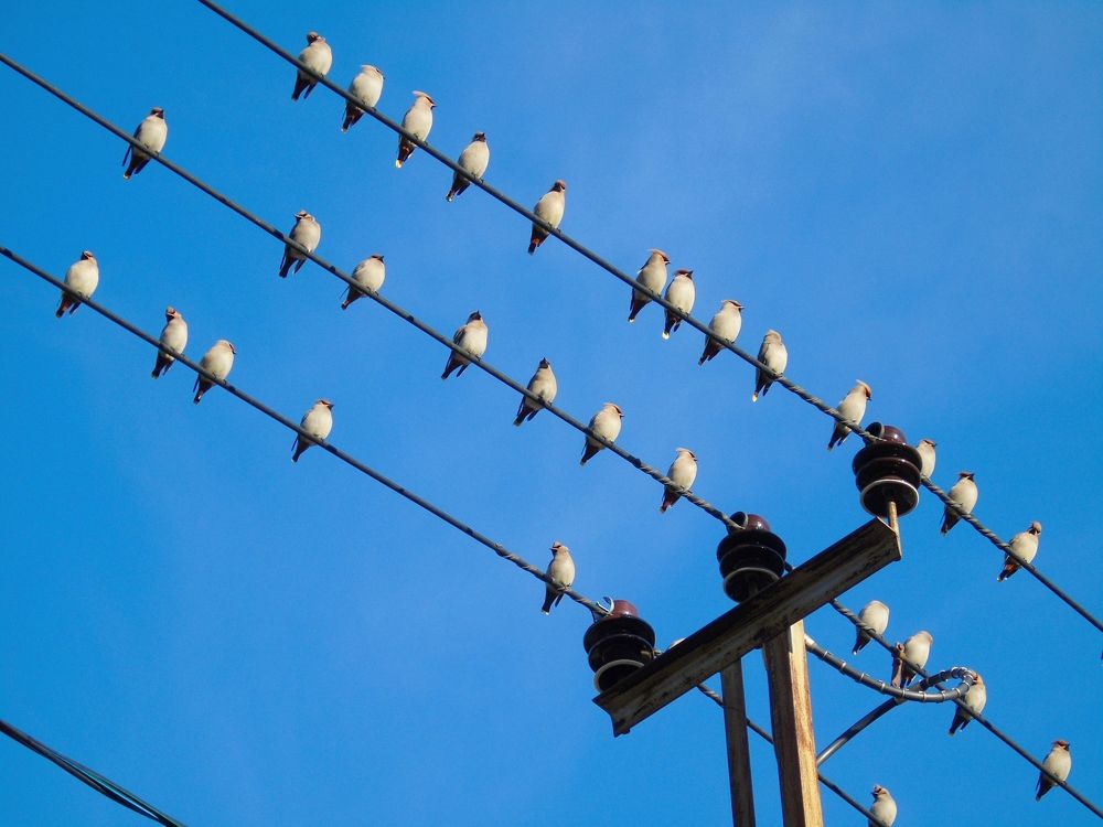 Нотная грамота