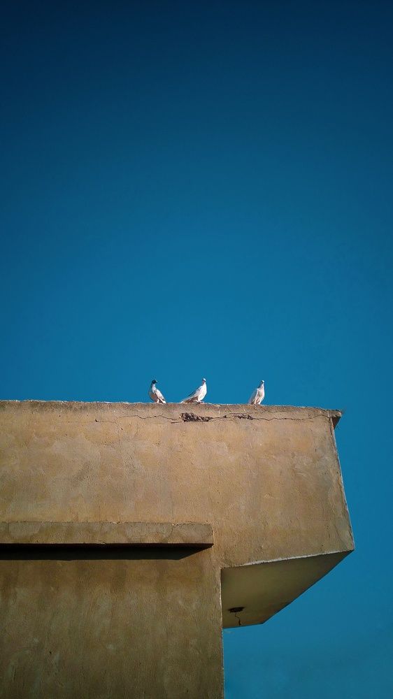 Photograph by Idris Ahmed