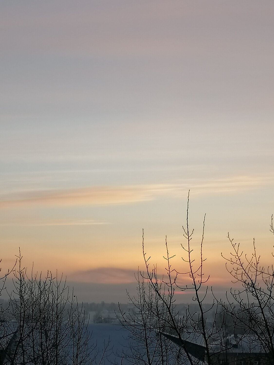 Photo #11773642