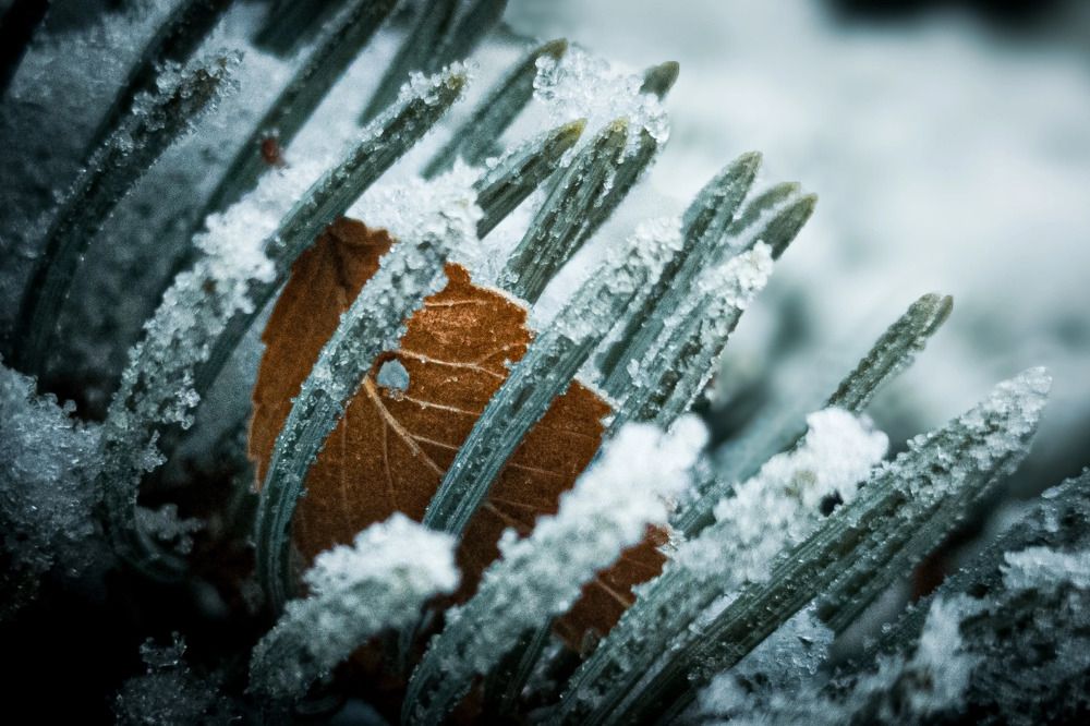 Photograph by Валерий