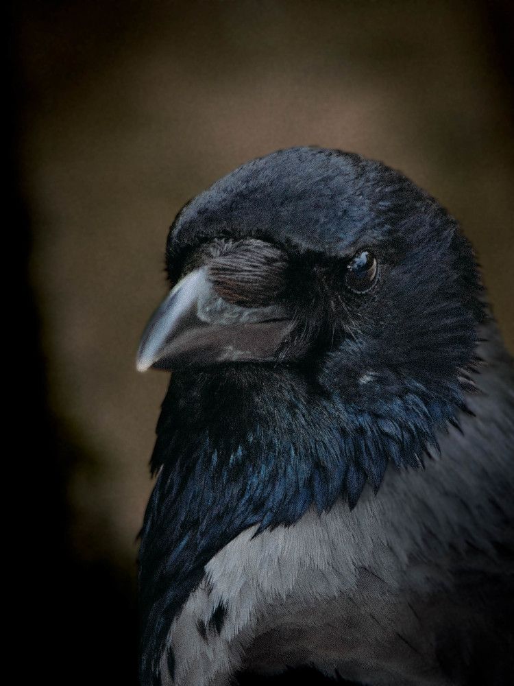 Photograph by Андрей Савёлов