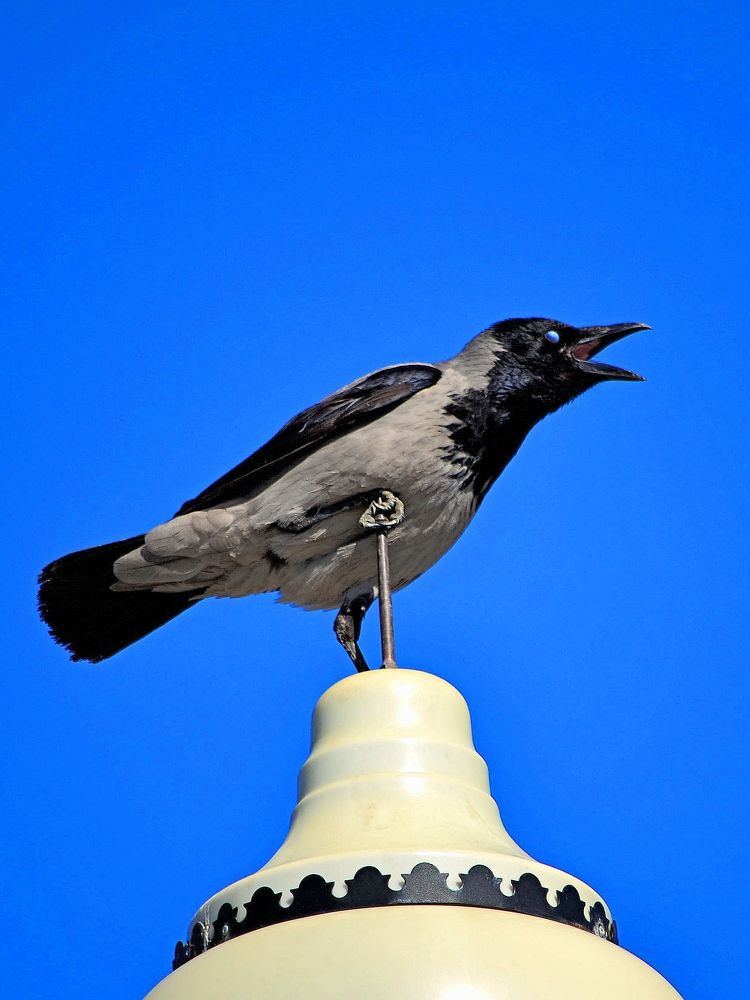 Photograph by Андрей Савёлов