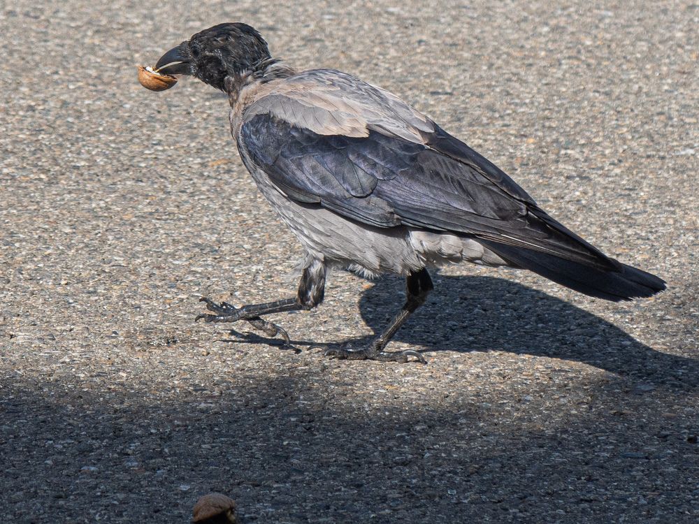 Photograph by Виталий Маслов