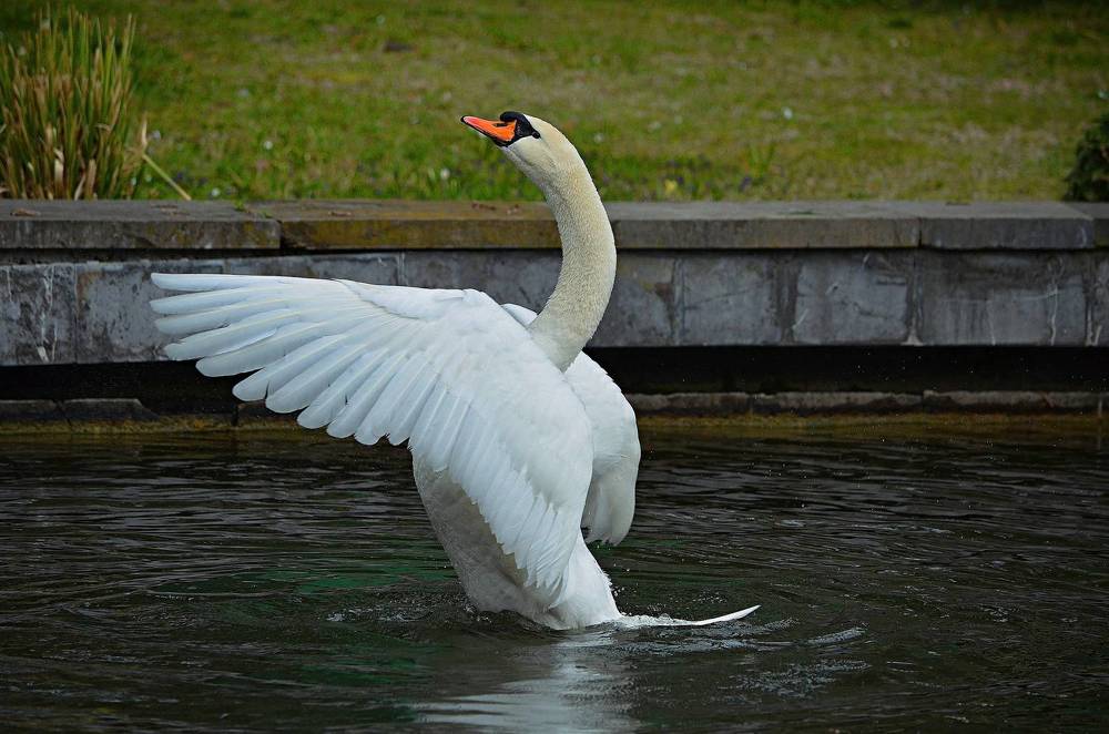Photograph by Андрей Савёлов