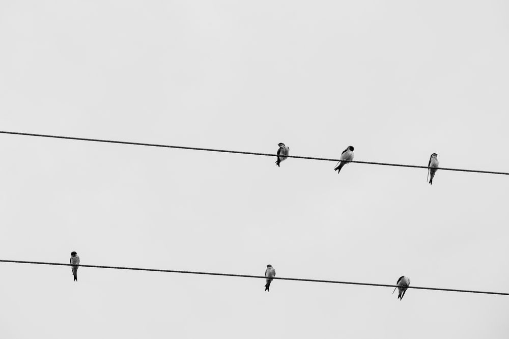 Photograph by Amir Negaresh