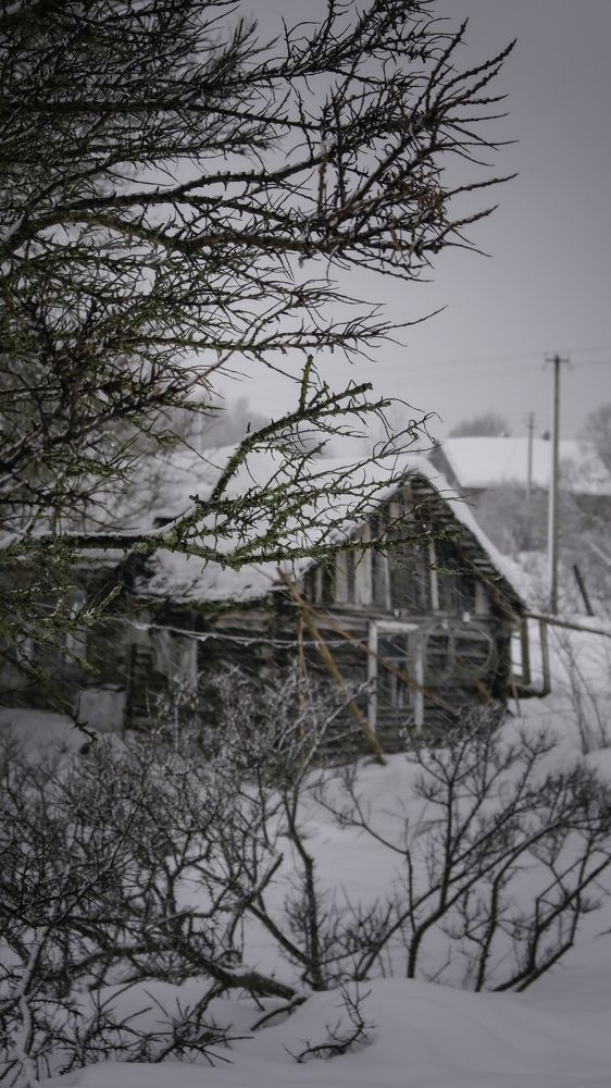Фотография автора Медведева Елена