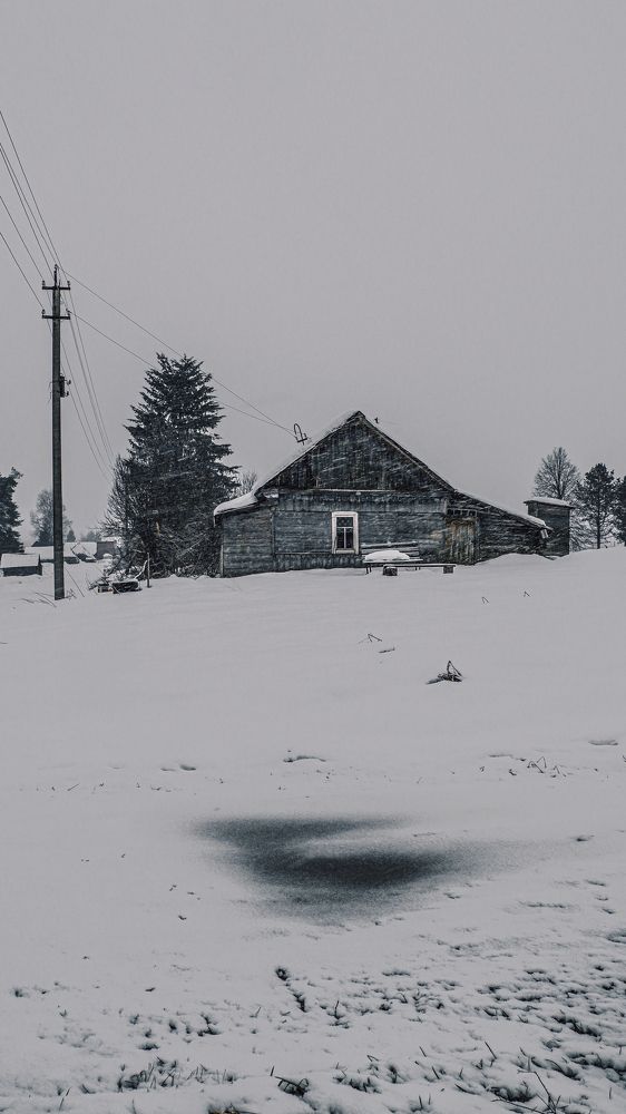 Фотография автора Медведева Елена