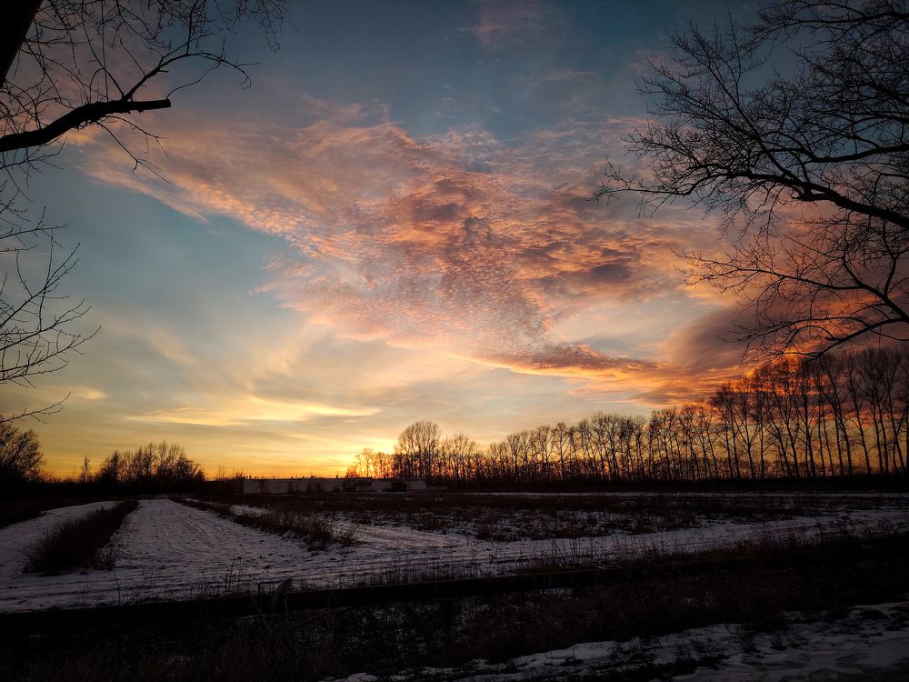 Photo #11773857