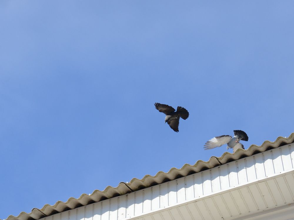 Photograph by Мирон Сергей