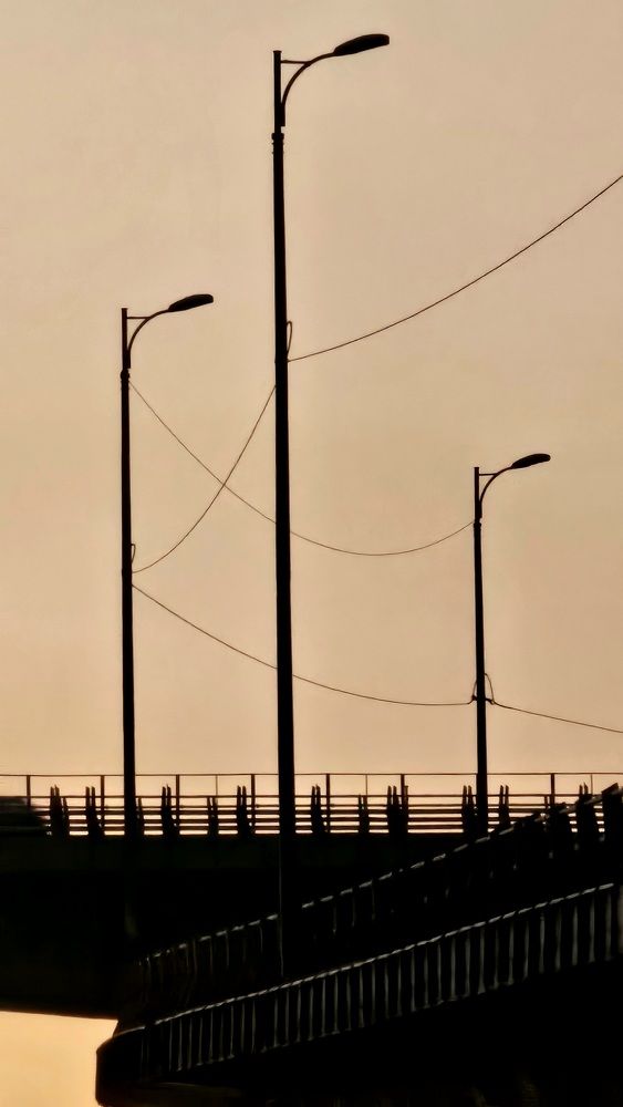 Photograph by Soheil Shams