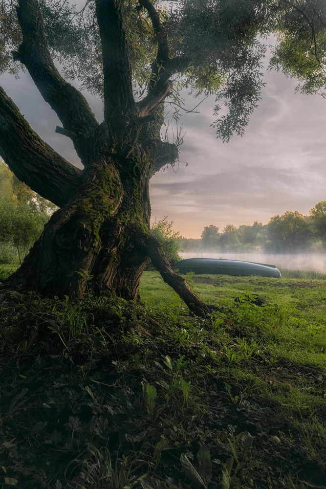 Photograph by Silyavin Nikita