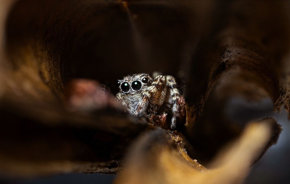 Photograph by Артём Малышев