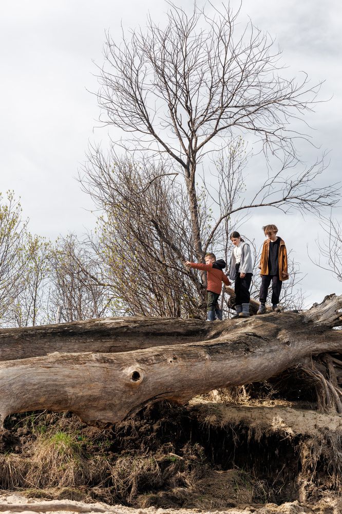 Photograph by Людмила Аксенова