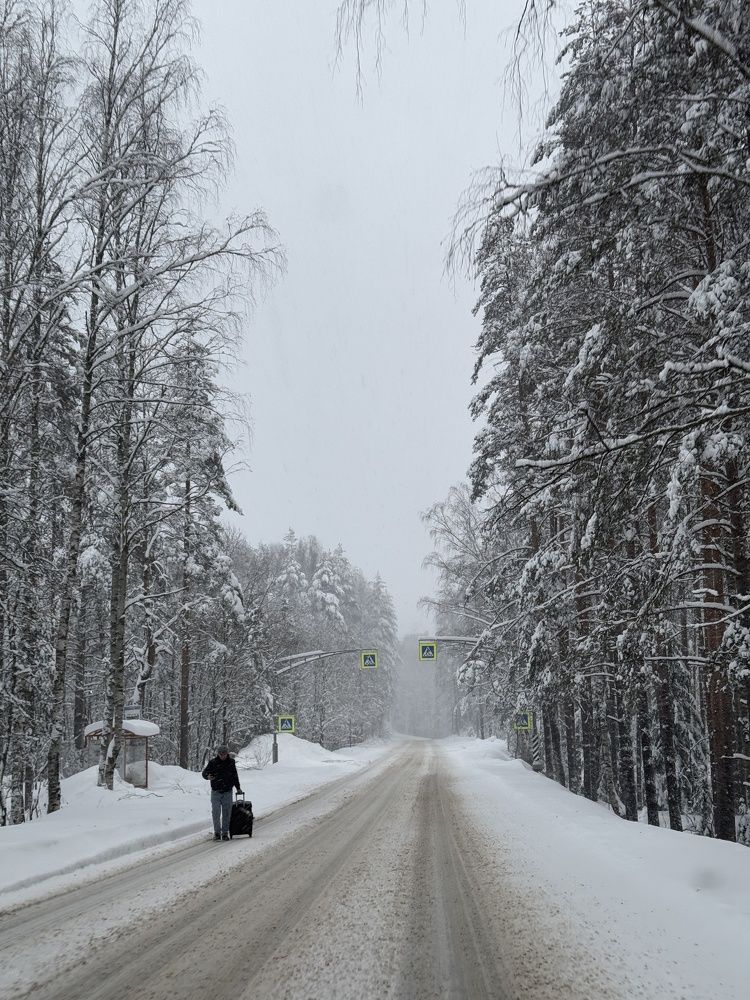 Photograph by Алла Кочергина