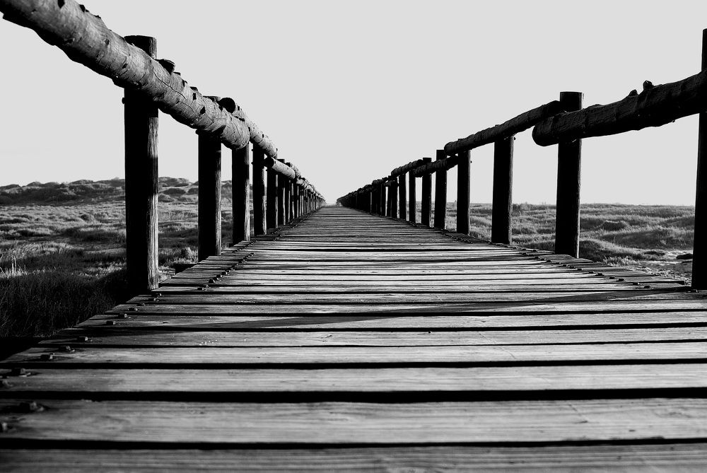 Photograph by Michael