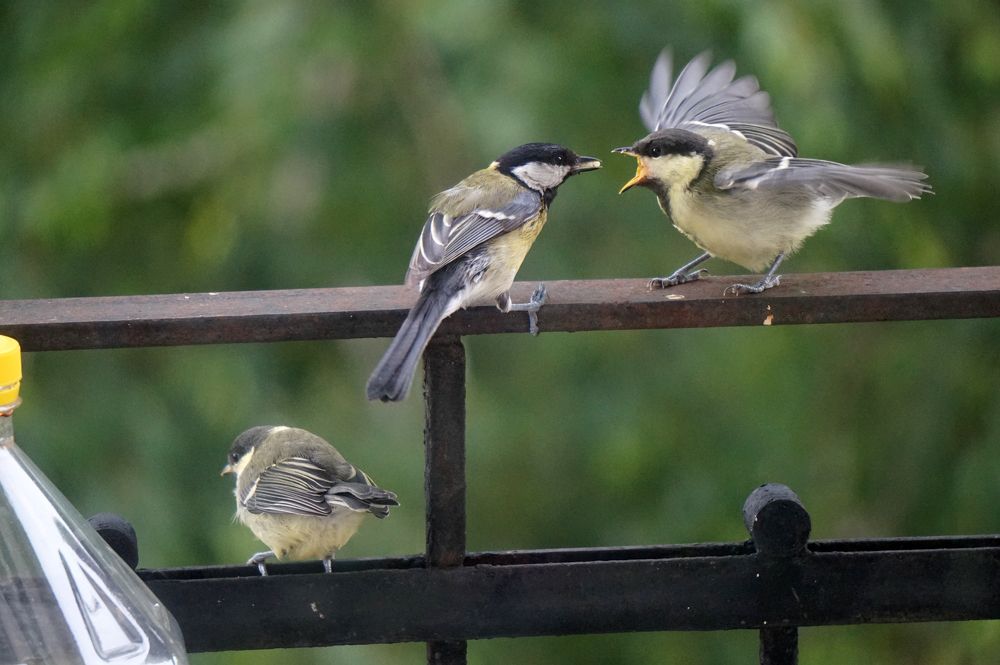 Photograph by Ксения Дудкина