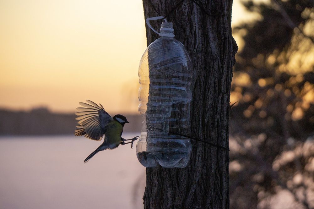 Photograph by Ксения Дудкина