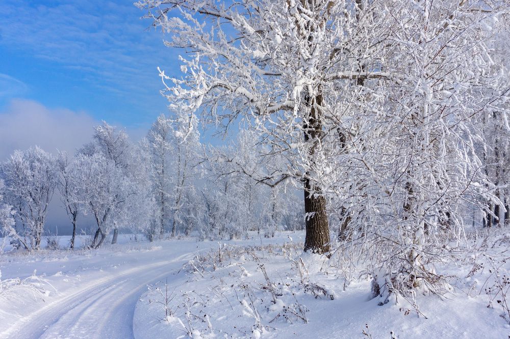 Photograph by Ксения Дудкина