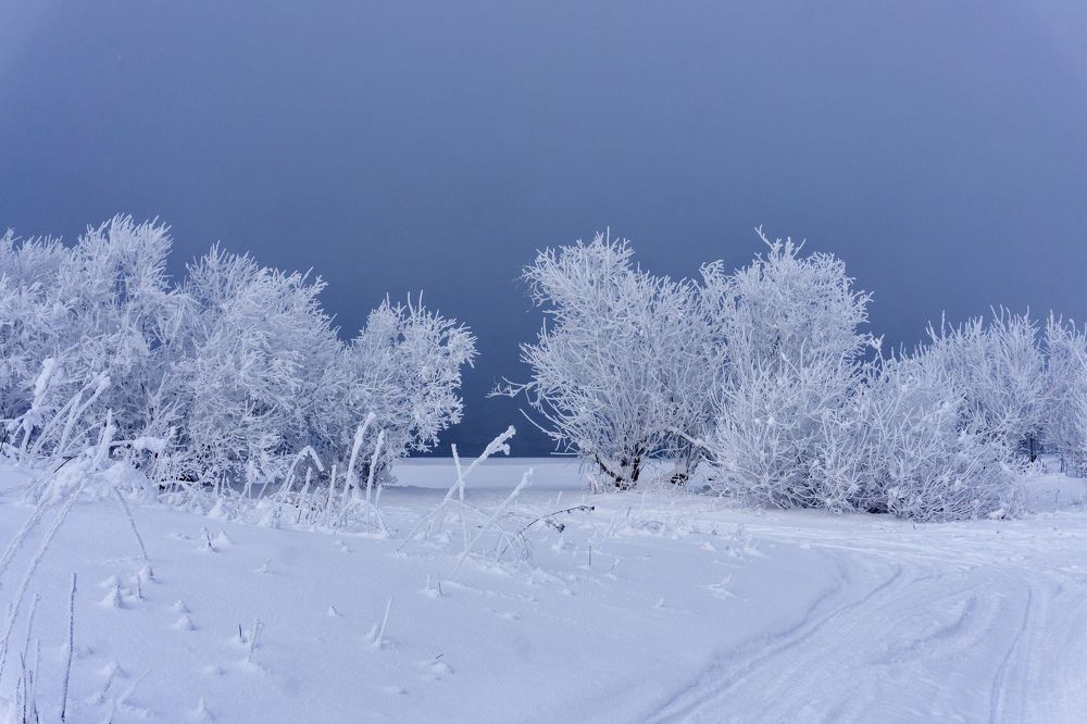 Photograph by Ксения Дудкина