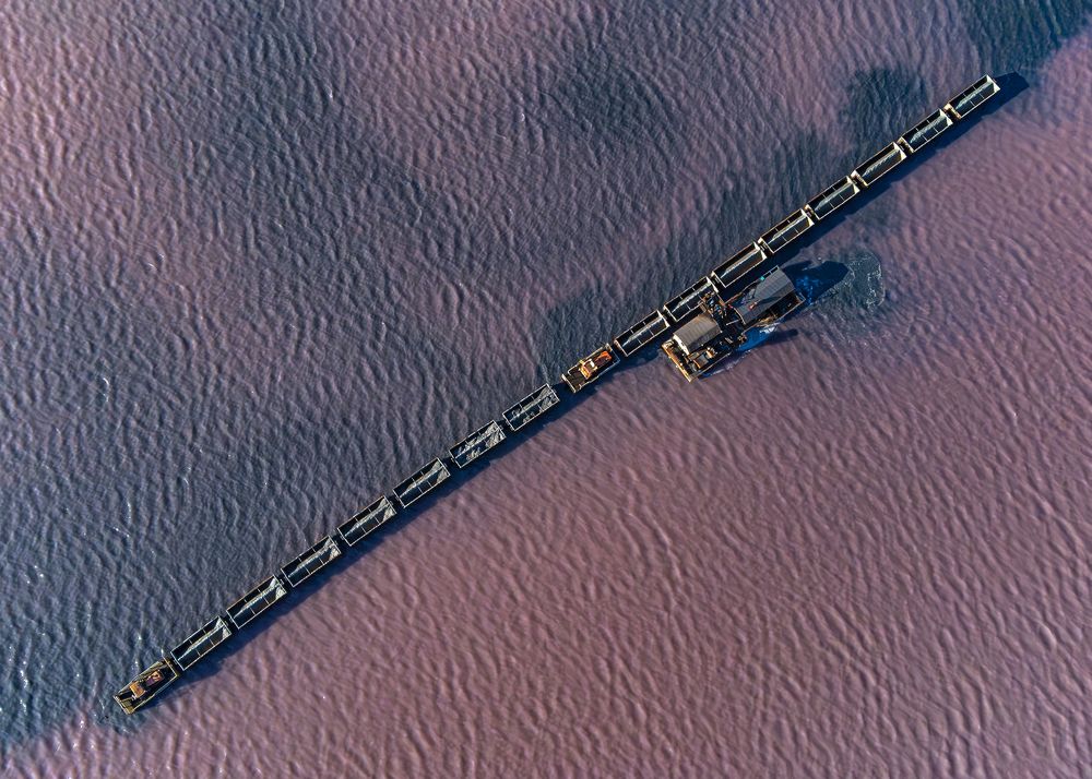 Photograph by Ярош Настя