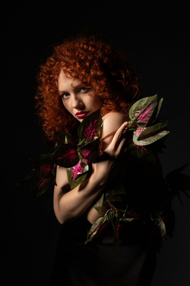 Львица в джунглях