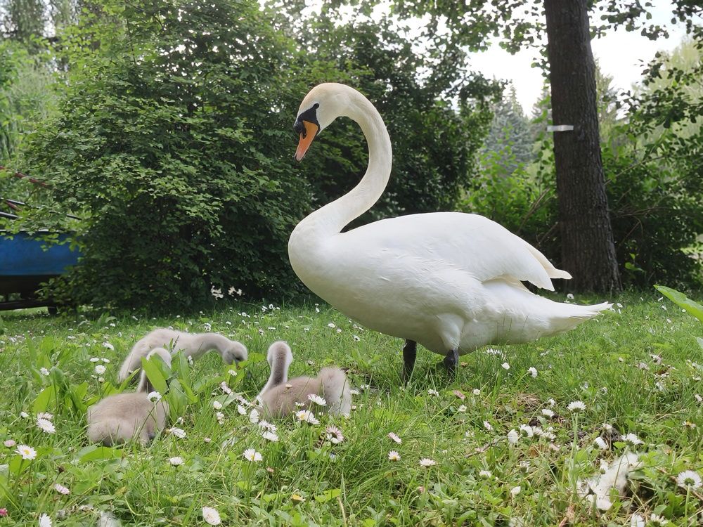 Photograph by Halina Basyanok