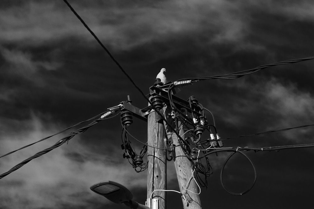 Photograph by Rudi Uran