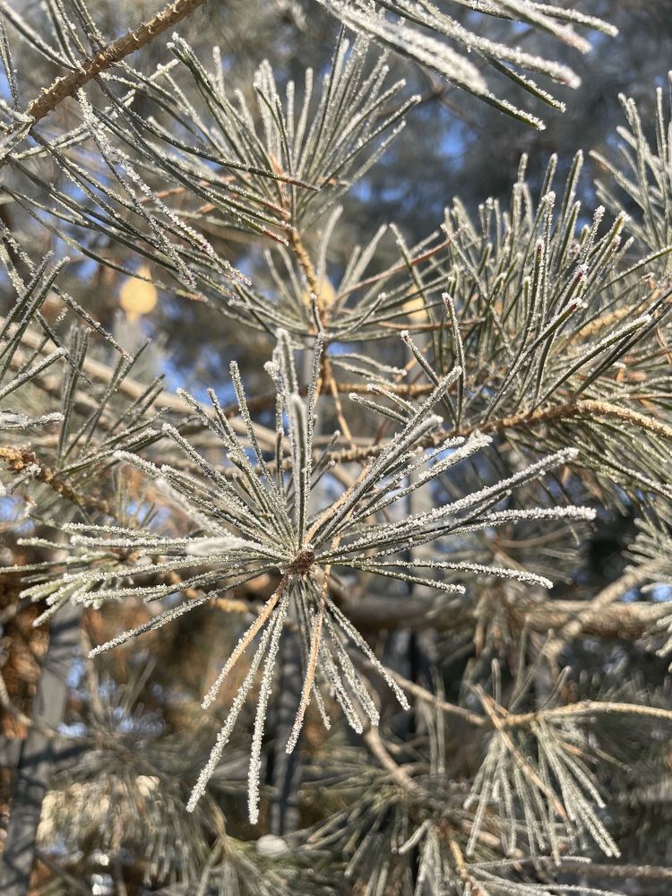 Photograph by Dasha Sew