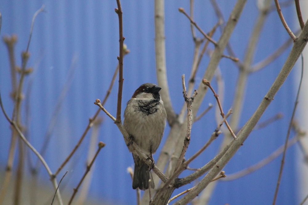 Photograph by Елена Чурынина