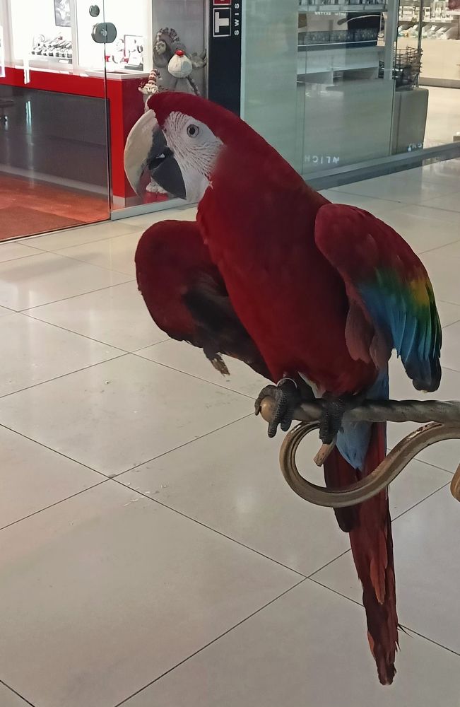 Photograph by Елена Чурынина