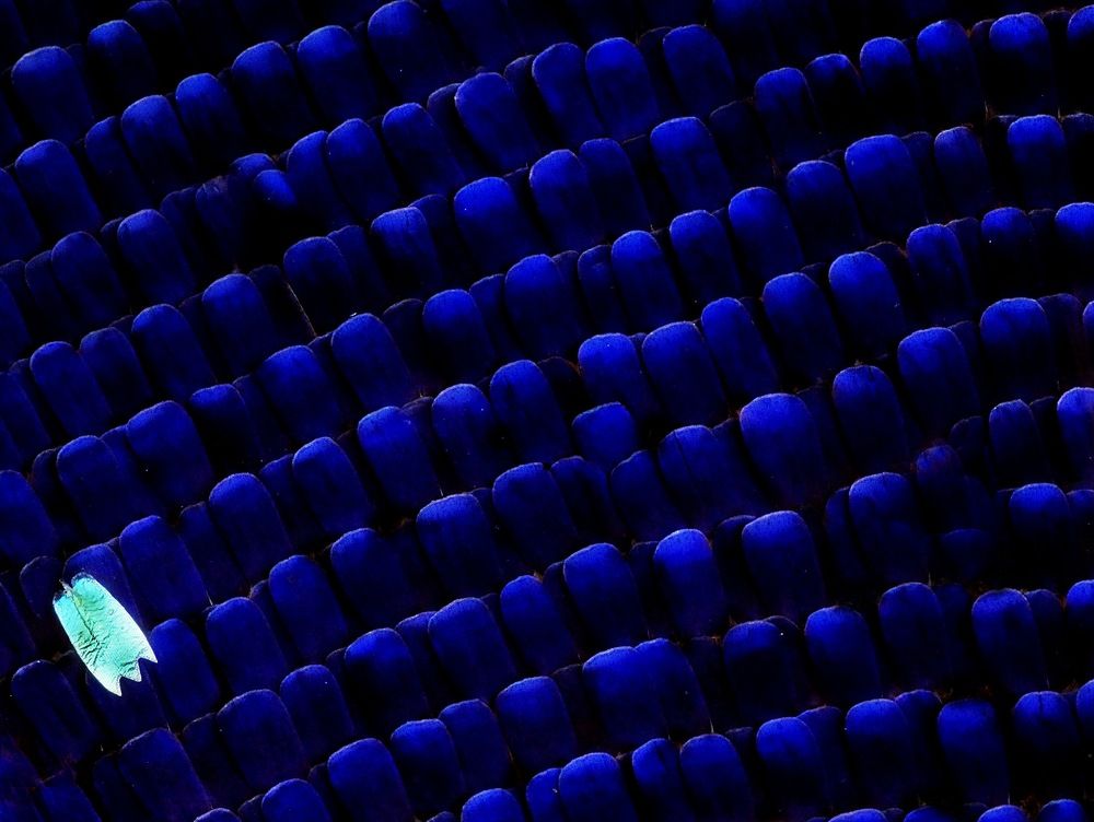 Photograph by Sally Sayed