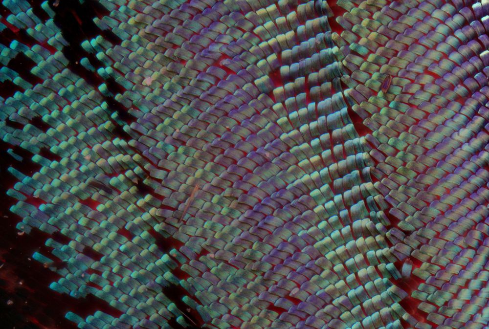 Photograph by Sally Sayed